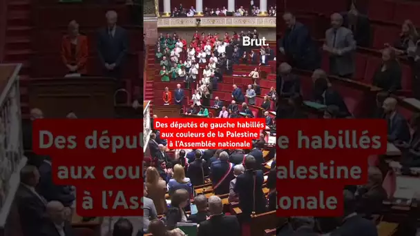 Des députés de gauche habillés aux couleurs de la Palestine à l'Assemblée nationale