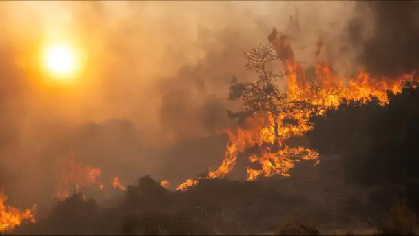 Incendies en Grèce : à Rhodes, les écoles accueillent des centaines de touristes évacués en urgence