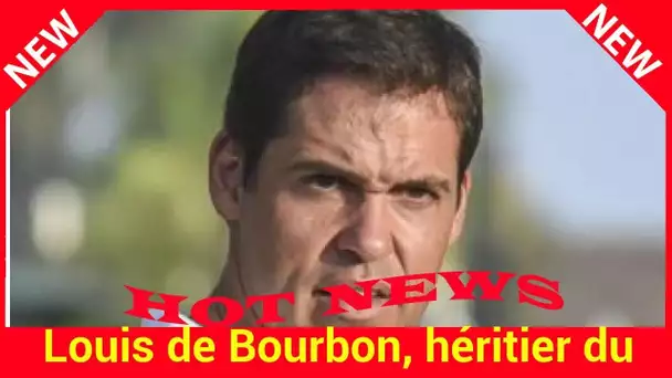 Louis de Bourbon, héritier du trône de France, poste une photo de son petit dernier