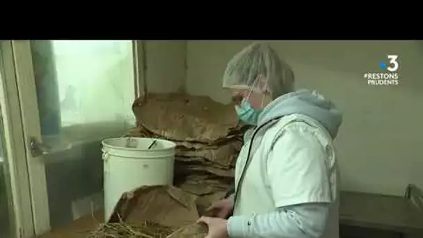 Triple Like pour les fromages de la Ferme de la Chapelle Saint-Jean