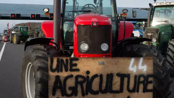 Agriculture : la FNSEA et les Jeunes Agriculteurs dénoncent le retard dans le versement des aides…