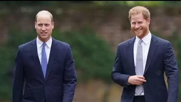 Harry et William : toujours fâchés, les princes vont participer à un documentaire...