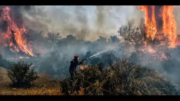 Incendies en Grèce : Paris envoie deux Canadair en renfort