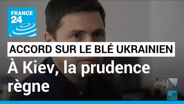 Accord entre l'Ukraine et la Russie sur les céréales : à Kiev, la prudence règne • FRANCE 24