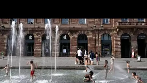 Canicule : à Strasbourg, les habitants mettent en pratique les conseils de prévention