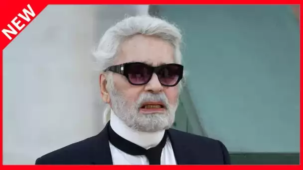 ✅  Héritage de Karl Lagerfeld : cette sortie maladroite de Gérard Lanvin sur Baptiste Giabiconi