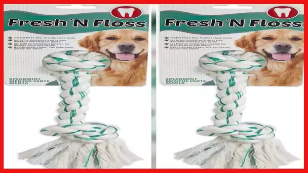 Aspen/Booda Corporation DBX52302 Fresh and Floss 2-Knot Spearmint Toy for Pets, Medium