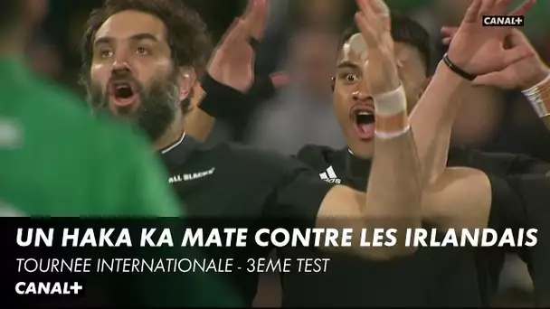 Le Haka "Ka Mate" pour le 3ème test des All Blacks contre l'Irlande - Tournée Internationale