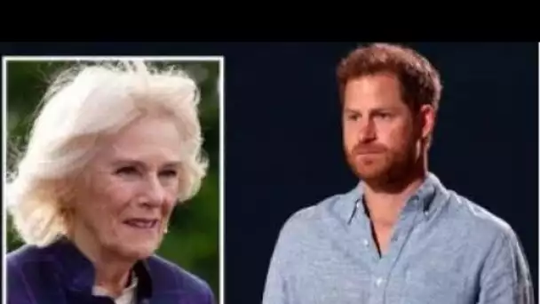 Le prince Harry a averti que la saleté sur Camilla "pourrait en fait l'aider"