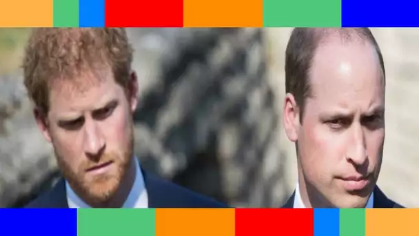 Harry et William « unis » pour l'amour de la princesse Diana