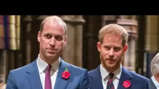 Harry et William en froid : ce détail qui prouve que les deux frères se rapprochent