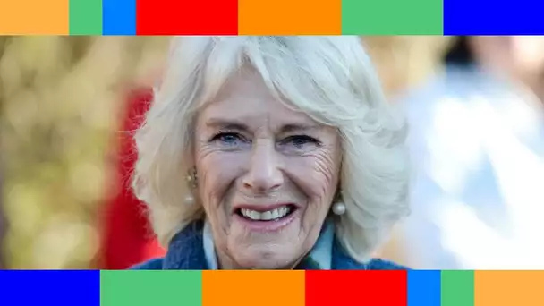 Camilla Parker Bowles  pourquoi a t elle été licenciée sans ménagement avant d'intégrer la famille