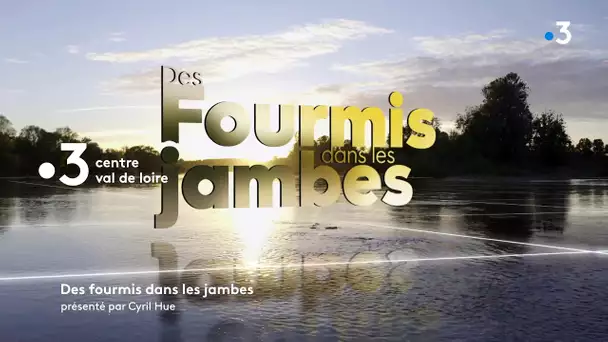 Des Fourmis dans les jambes, ép 3 : au bord de la Loire...