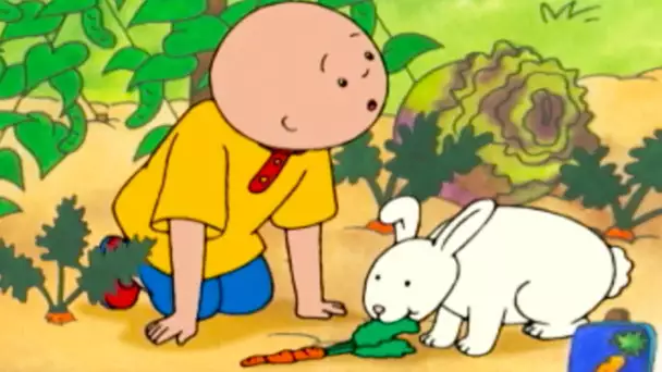 Caillou et le Lapin | Caillou en Français