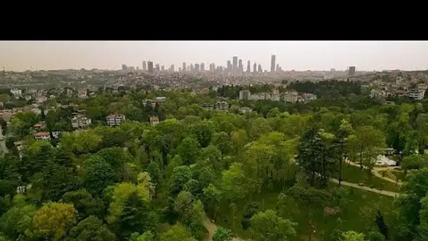 Des jardins et des forêts aux îles, Istanbul regorge d'endroits où profiter de la verdure