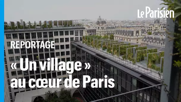 Hôtel 5 étoiles, HLM, bureaux, marché... Ils cohabitent dans un même immeuble au cœur de Paris