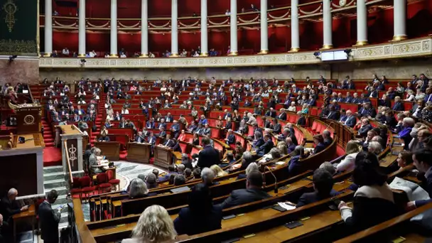 Aide à mourir : premiers pas dans l'hémicycle à l'Assemblée, en quête du bon «équilibre»