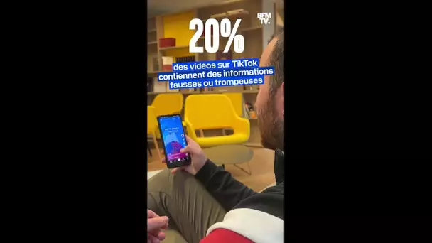 Sur TikTok, une vidéo sur cinq contient des informations fausses ou trompeuses selon une étude