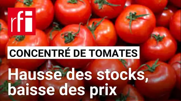 Concentré de tomates : boom des exportations, hausse des stocks et baisse des prix • RFI