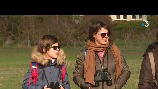 Découvrir les prés-salés de la Baie du Mont Saint-Michel