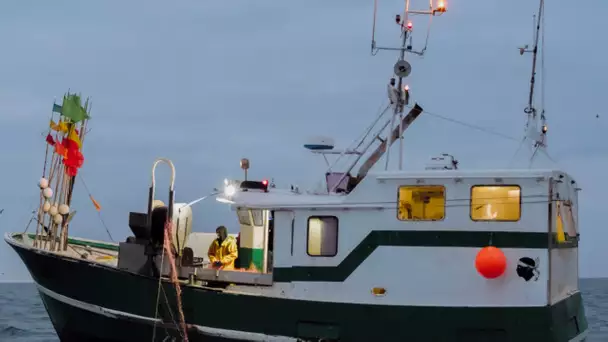 Colère et incompréhension: Les pêcheurs désemparés par l'interdiction de pêcher dans le golfe de …