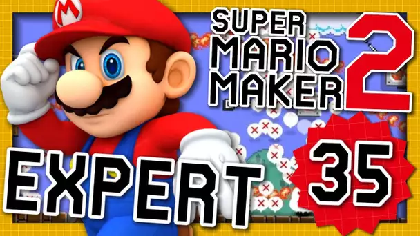 ON GALÈRE SUR LE MODE EXPERT ! | SUPER MARIO MAKER 2 EPISODE 35 NINTENDO SWITCH