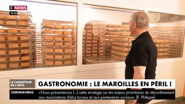 Gastronomie : le maroilles en péril