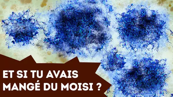 Que Faire si tu Manges du Moisi par Erreur ?