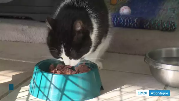 Série refuge animalier "Les Murmures" à Chatelaillon : l'entretien