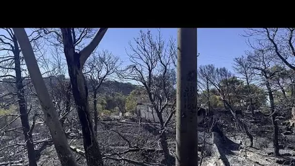 Grèce : la région de l'Attique menacée de désertification à cause des feux de forêt