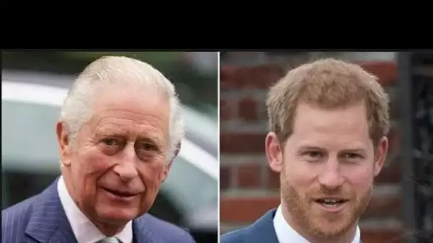 Le « retrait en deux mots » du prince Harry par le roi Charles après la sortie du documentaire Netfl