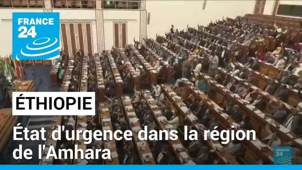 Éthiopie : les députés approuvent l'état d'urgence dans la région de l'Amhara • FRANCE 24