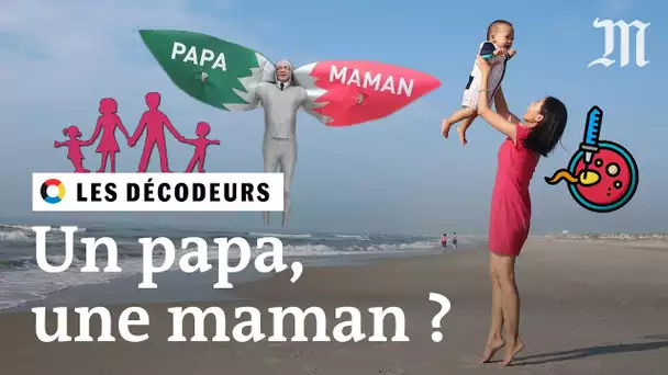 PMA : faut-il vraiment un papa et une maman ? #LesDécodeurs