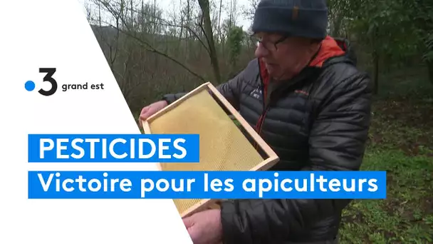 Victoire des apiculteurs face aux pesticides