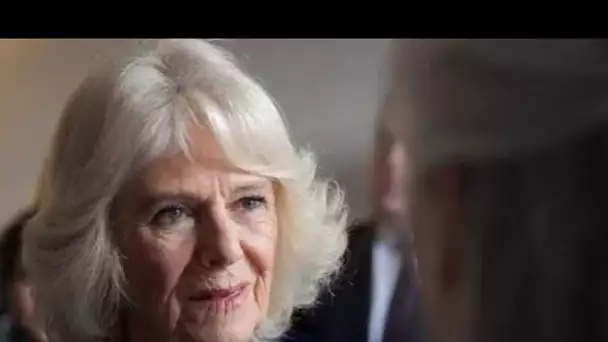 Même moule!' Camilla partage un lien surprenant avec la stratégie royale du prince Philip