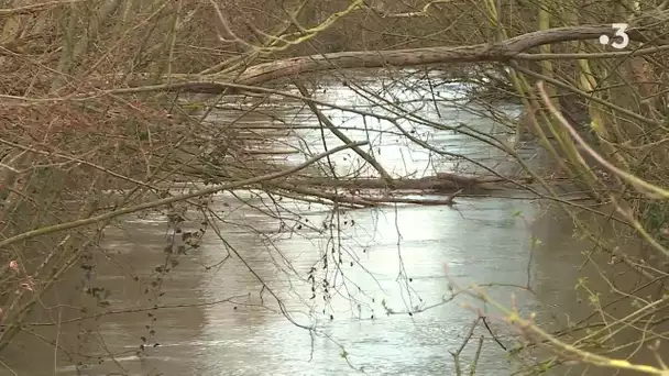 Des élus de l'Aisne dénoncent la baisse des financements destinés à l'entretien des cours d'eau.