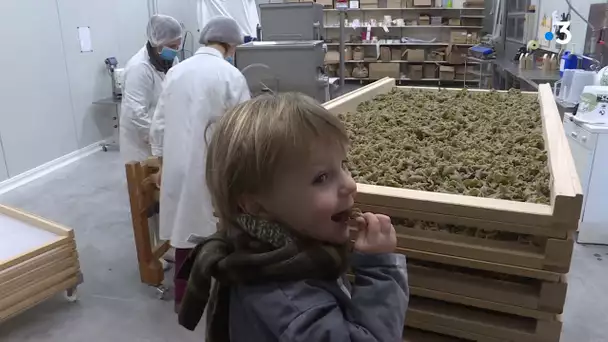 "Ferme préférée des Francais" La ferme des Mions à Hazebrouck sélectionnée pour les Hauts-de-France