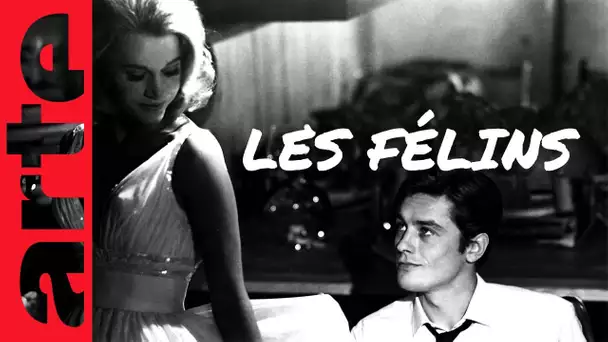 Les félins | Film complet | ARTE Cinema