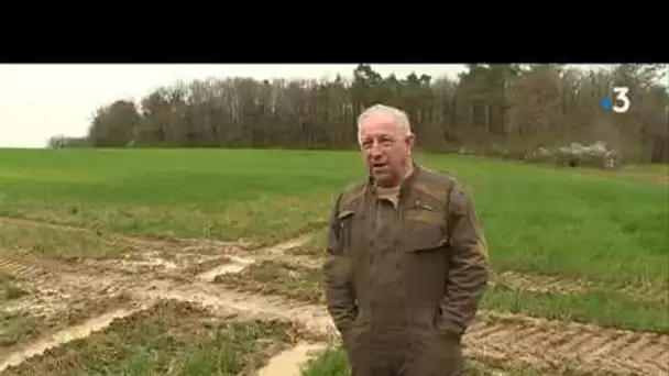 Indre-et-Loire : les cultures touchées par les fortes pluies du printemps