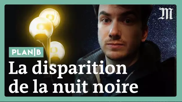 Comment la lumière pollue nos villes et menace la vie animale  #PlanB