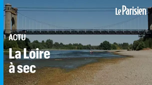 Sécheresse : la Loire est si basse qu'on peut la traverser à pied