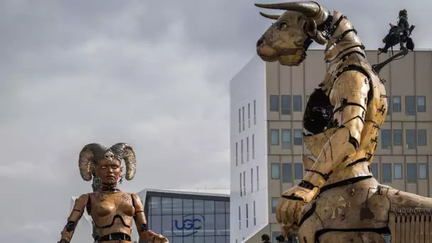 A Toulouse, les chimères de «La Machine» reviennent émerveillées les rues de Toulouse