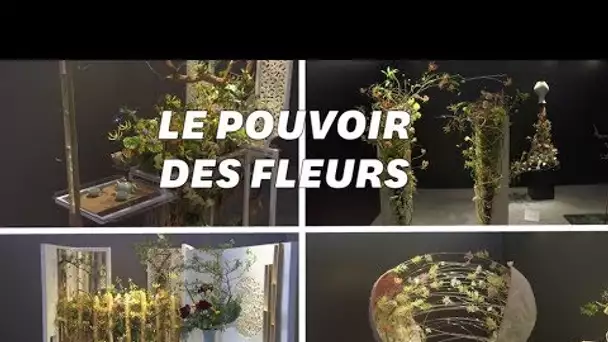 Ces œuvres florales vont vous faire voir les plantes autrement