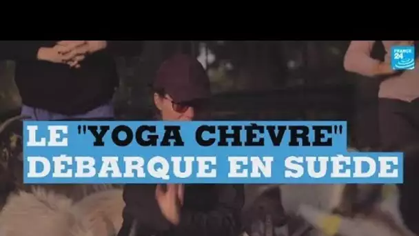 yoga chèvre