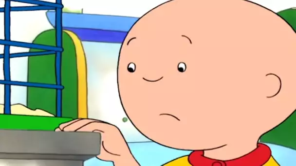 Caillou et la Cage Vide | Caillou | Dessins animés pour enfants | WildBrain pour les enfants