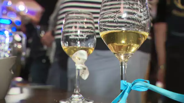 Vin : le concours de Monbazillac