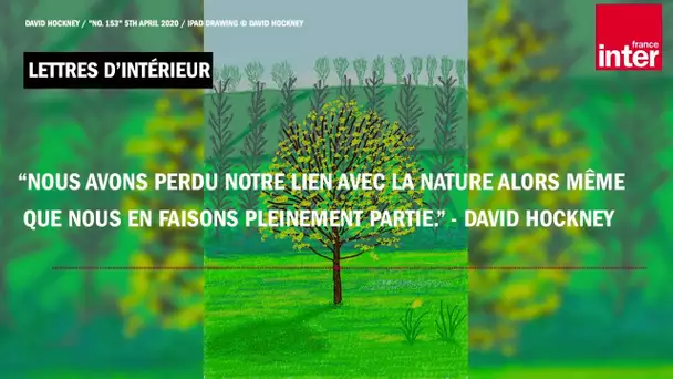 "Comme des idiots, nous avons perdu notre lien avec la nature..." - David Hockney