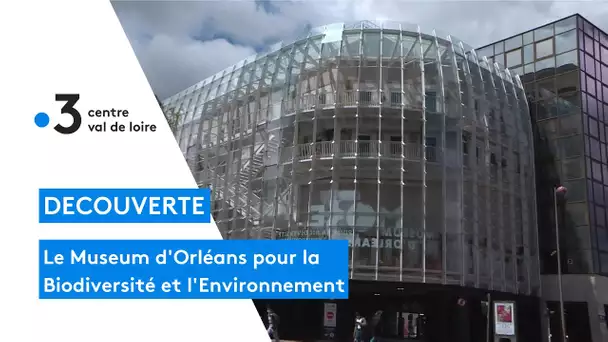 Orléans : le Museum d'Orléans pour la Biodiversité et l'Environnement est ouvert (MOBE)