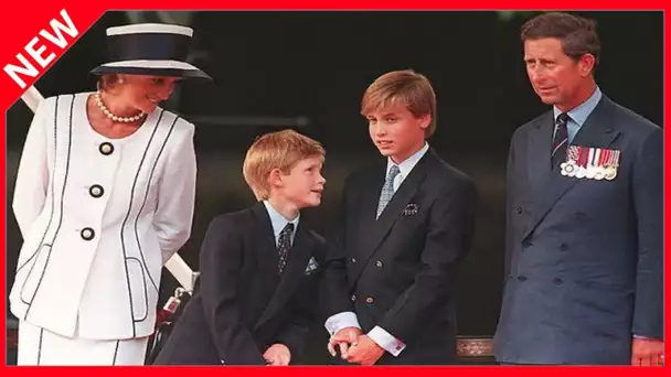 ✅  Harry et William fâchés : cette statue de Lady Diana qui en a fait les frais