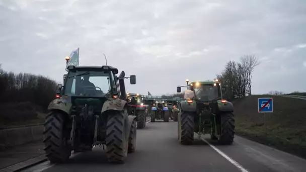 Grande dépression agricole en France : pourquoi toutes les filières s’effondrent ?